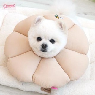 서락 패리스독 꿀잠카라 베이지S 애견깔대기, 1개