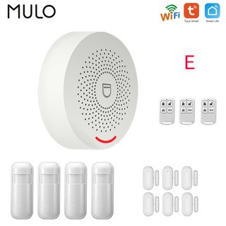 투야 와이파이 홈 경보 시스템 무선 집 도난 보안 경보 스마트 홈 앱 433MHz 문짝 창 센서 동작 감지기, 3.E, 1개