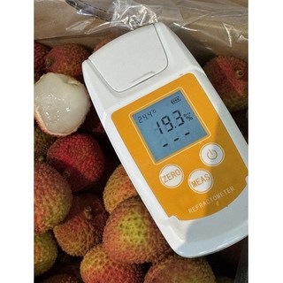 생과일 항공직송 고당도 생 리치 열대과일, 1개, 500g