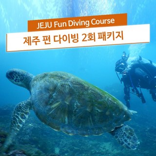 제주도 보트 다이빙 2회 패키지 펀다이빙 체험 스쿠버