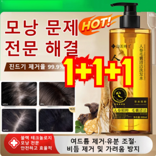 5. 1+1+1 모낭..