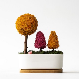 스칸디아모스 포레스트 화분 어텀 1개 상품 이미지