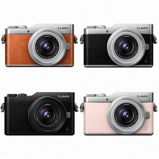 파나소닉 DMC-GF10