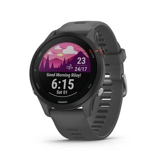 가민 포러너 255 러닝 GPS 스마트워치 슬레이트 그레이 46mm, 가민 포러너 255 러닝 GPS 스마트워치 슬레이트 그