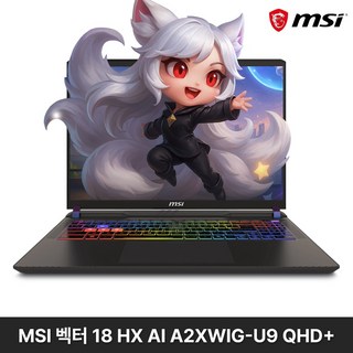 1. MSI 2025..