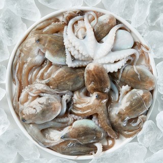 [산지직송] 국내산 급냉 쭈꾸미 제철 10미 내외, 1개, 1kg(10미 내외)
