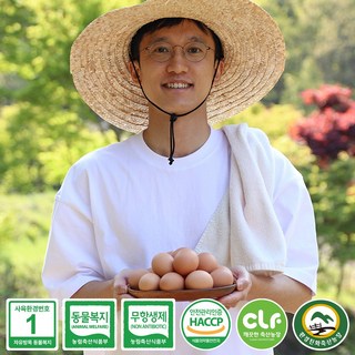 1번 계란 방목 자연방사 유정란 동물복지 무항생제 자유방목 사육환경번호1번 달걀, 40구, 1세트