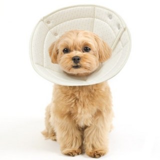 자연생각 개놀자 오가닉 펜타곤 넥카라 도트 L, 1개