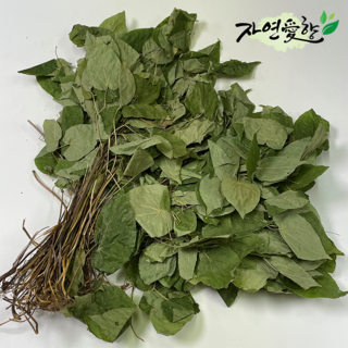국내산 음양곽 삼지구엽초 자연산 음양각 100g (1개) 국내산 음양곽 삼지구엽초 자연산 음양각 100g (1개)