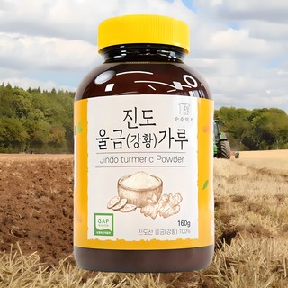 순수미가 국내산 진도 강황가루, 1개, 160g
