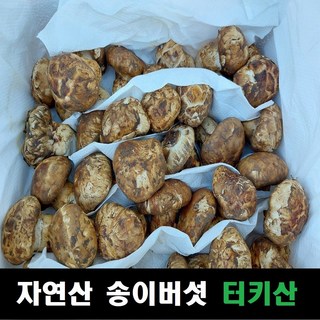 송이버섯 자연산 냉동 터키산, 3S급(30~40송이내외, 모양크기랜덤), 3S급 500g, 1개