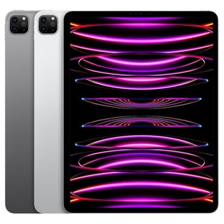 Apple 정품 2022 아이패드 프로 12.9 6세대 M2칩, 스페이스그레이, 1TB, Wi-Fi