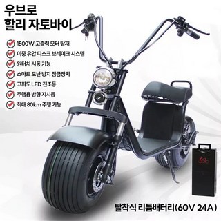 우브로 할리 자토바이 전기 자전거