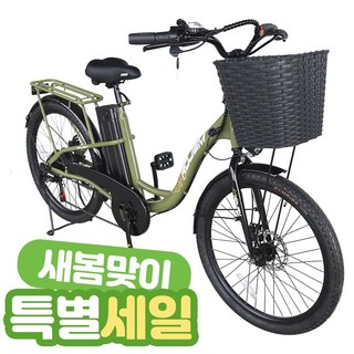 전기자전거 로젬