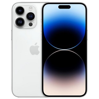 Apple 정품 아이폰 14 Pro Max 자급제, 실버, 1TB