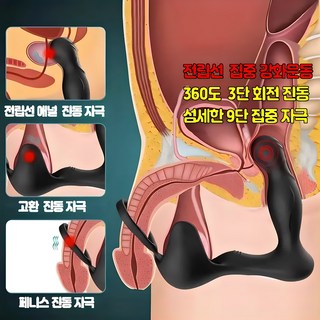 해빙펀 360도 풀회전 듀얼모터 전립선 강화 마사지 바이브레이터 + 3단계 풀회전 진동 + 9단계 스피드 진동 + 전립선 및 회음부에 밀착되는 인체공학적인 디자인, 1개, 블랙 대표 이미지 - 입문용 바이브레이터 추천