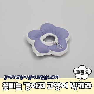 프렌치불독넥카라 웰시코기 진돗개 고양이 동물병원 쿠션 퍼플 S, 1개
