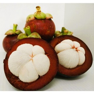 과일성지 고품격 생 망고스틴 500g 1kg 2kg 3kg 5kg, 1박스, 5kg_50~70과