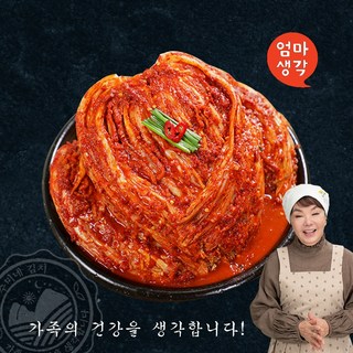 김수미 프리미엄 전라도 재래식 포기김치, 10kg, 1개