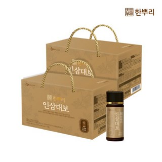 [CJ공식] 한뿌리 인삼대보(100ml*10병) 2박스, 100ml, 20개