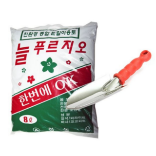 셀렘 마리안느 금전수