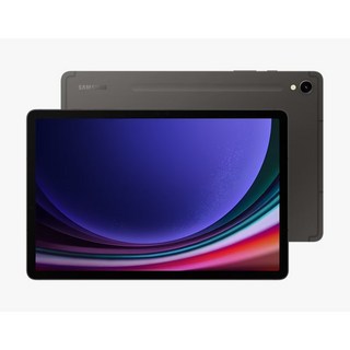 삼성전자 갤럭시탭 S9 SM-X716
