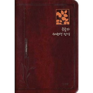 아가페 큰글자 새번역 성경