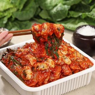 셰프애찬 봄동 굴 겉절이 겨울 제철 배추 김치 무침 통영 굴 1kg 1개 상품 이미지