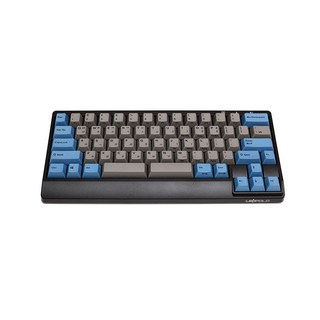 레오폴드 FC650MDS PD 그레이 블루 한글 청축, 텐키리스