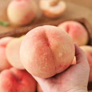 [하우스]농산애 백도 황도 제철과일 딱딱이 딱복 복숭아, 1박스, 신비 1kg 중소과