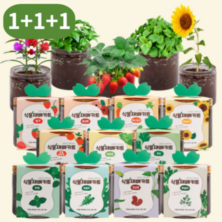 식물재배키트 3종세트 1+1+1 방울토마토 딸기 바질 루꼴라 허브 꽃 키우기 DIY 체험학습용 [이지그로우], 11_랜덤 * 3ea