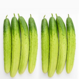 [농가신선] 수분가득 백오이 아삭한 국내산 백다다기 특품, 1박스, 5kg (16-20개)