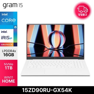 LG전자 그램15 15ZD90RU-GX54K