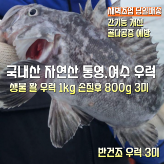 [산지직송] 자연산 통영. 여수 새벽조업한 생물 활 우럭 1kg 깨끗하게 손질후 800g 3미. 1kg 손질후 800g 반건조후 진공포장 600g 3미, 1박스, 새벽조업한 생물 활 우럭 1kg 손질후 800g 3미