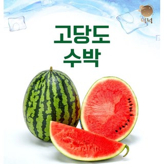 [넉넉] 고당도 꿀수박 고당도수박 매일 매일 수박 선별 바로 직송 !!, 1박스, 가정용 수박 5-6kg