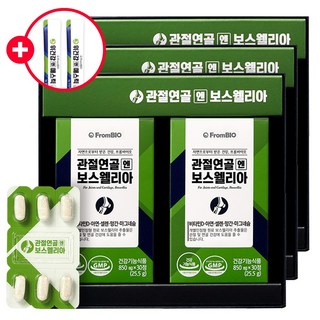 [본사기획 세트]프롬바이오 관절연골엔 보스웰리아 개별인정형 비타민D 마그네슘 망간 아연 1일 섭취량 100%, 3세트, 60정