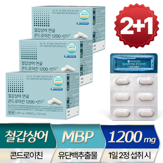 철갑상어 연골 콘드로이친 1200 MBP 저분자 식약청 인증 HACCP 60g 3개 상품 이미지