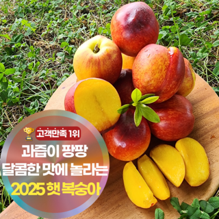 삼시세끼연구소 새콤달콤 터지는 햇 복숭아 신선 복숭아, 1세트, 500g