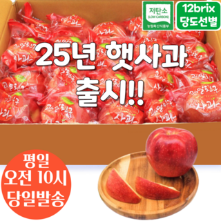 [오전8시 주문건 당일발송] 12브릭스 당도선별 세척사과 3kg (16~21입 소과), 1개