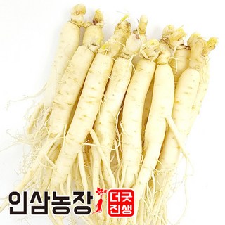 세척 원삼 300g (9~12뿌리) – 금산인삼 더굿진생 풍기수삼