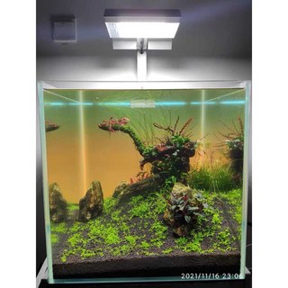 라이트백스크린 어항 배경 색상조절 백라이트 모바일 잔디 그라데이션 LED, B. 360x260 RGBW 5W, 1개