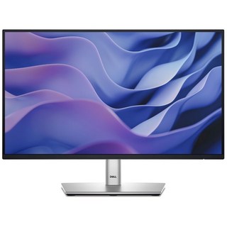 Dell 22인치 P2217 모니터