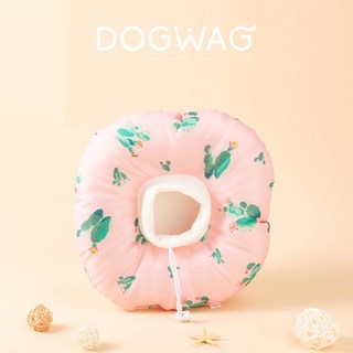 도그웨그 애견 고양이 쿠션 천 넥카라 깔대기 목보호대, 선인장, 1개