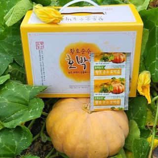 산지직송 늙은 호박 맷돌 보약 호박즙 듬뿍농원 50개 100ml 100ml 상품 이미지
