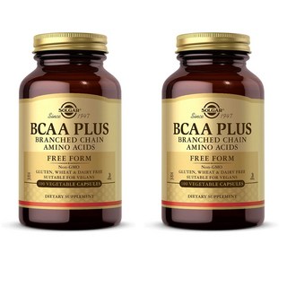 Solgar 솔가 필수 아미노산 BCAA Plus 베지 100캡슐x2묶음, 100정, 2개