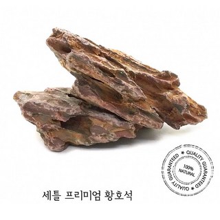 세틀 프리미엄 황호석 5KG, 1개