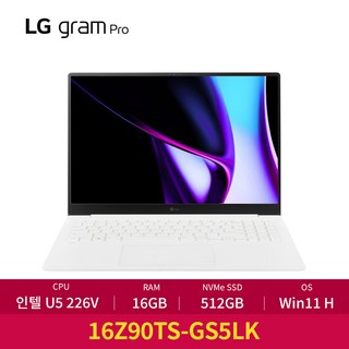 루나레이크 성능 강화! 다양한 LG 그램 프로와 에이수스 젠북 S 추천