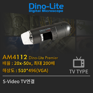 추천5 디노 라이트