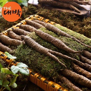 산지직송 강원도 정선 더덕 산더덕, 1개, 산더덕(상품) 1kg