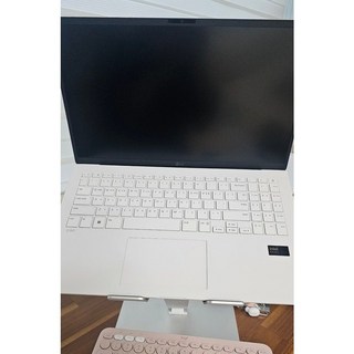 LG전자 2024 그램 15 코어 울트라5 인텔 Iris, WIN11 Home, 에센스 화이트, 256GB, 8GB, 15Z90S-GR5CK